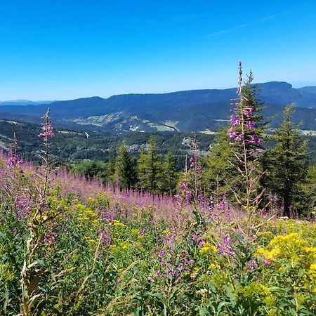 Apartament Duplex 59M2 - Proche Centre - Balcon Plein Sud Corrençon-en-Vercors Zewnętrze zdjęcie