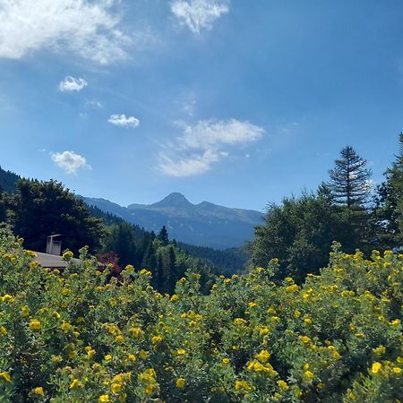 Apartament Duplex 59M2 - Proche Centre - Balcon Plein Sud Corrençon-en-Vercors Zewnętrze zdjęcie