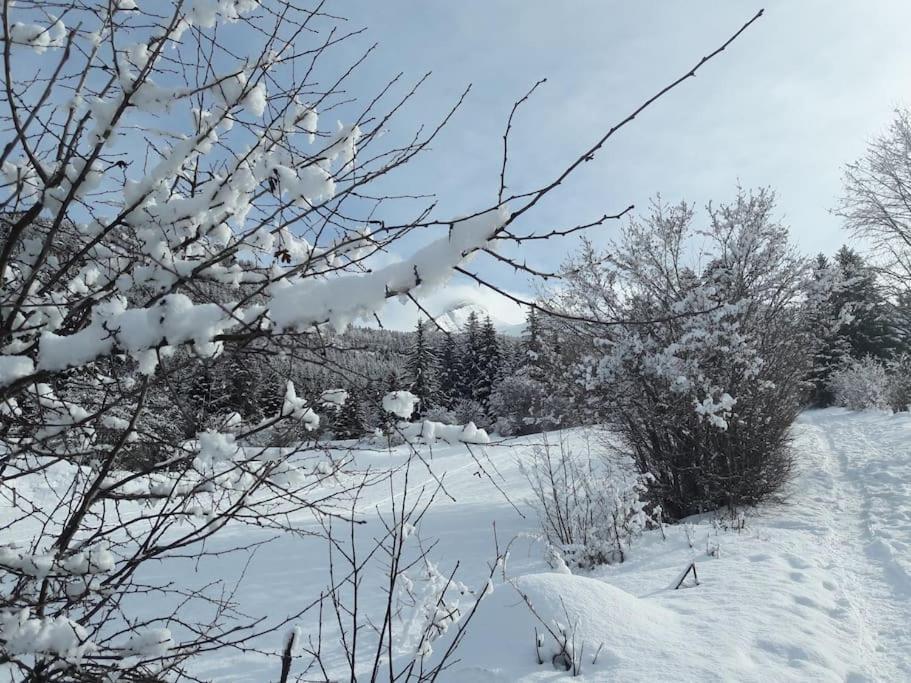 Apartament Duplex 59M2 - Proche Centre - Balcon Plein Sud Corrençon-en-Vercors Zewnętrze zdjęcie
