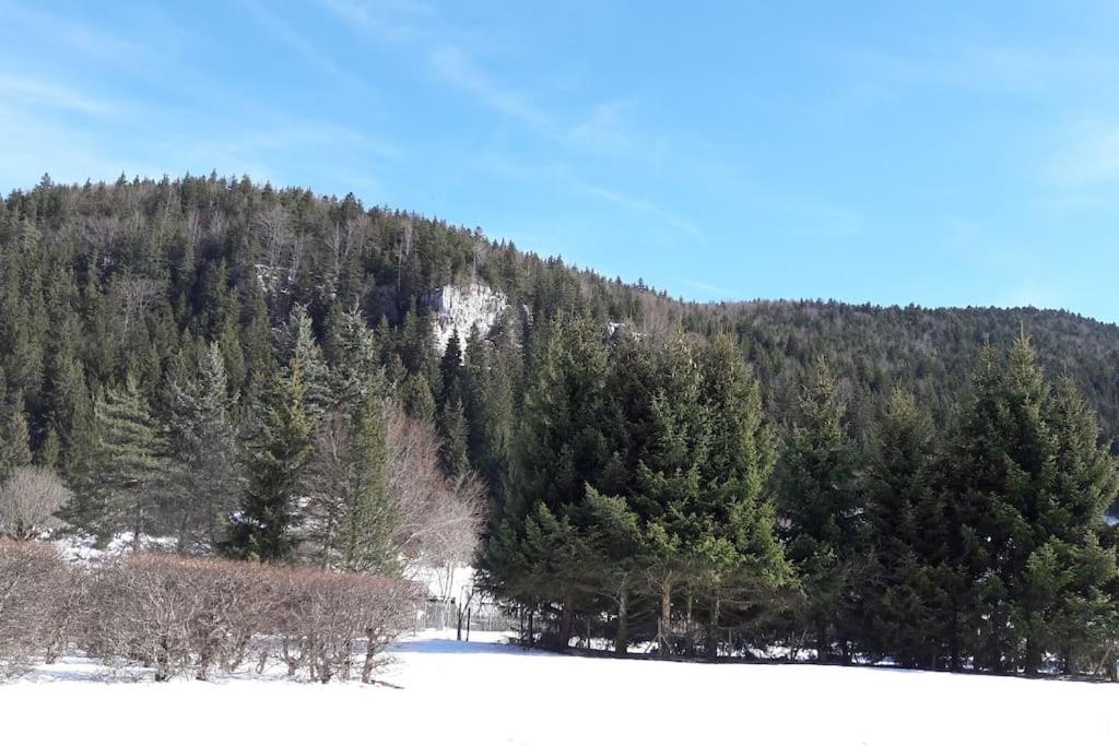 Apartament Duplex 59M2 - Proche Centre - Balcon Plein Sud Corrençon-en-Vercors Zewnętrze zdjęcie