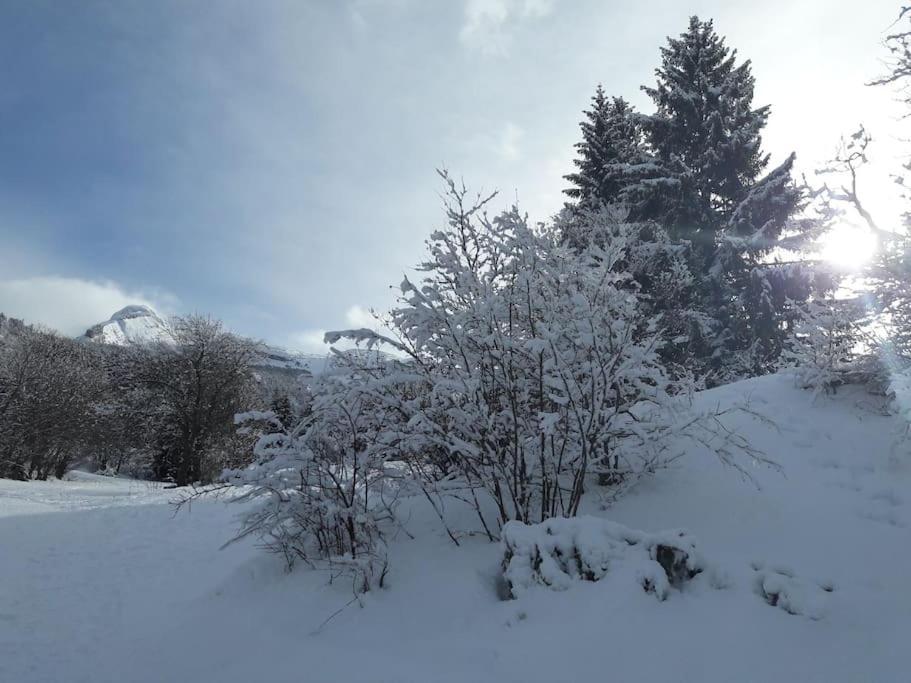 Apartament Duplex 59M2 - Proche Centre - Balcon Plein Sud Corrençon-en-Vercors Zewnętrze zdjęcie